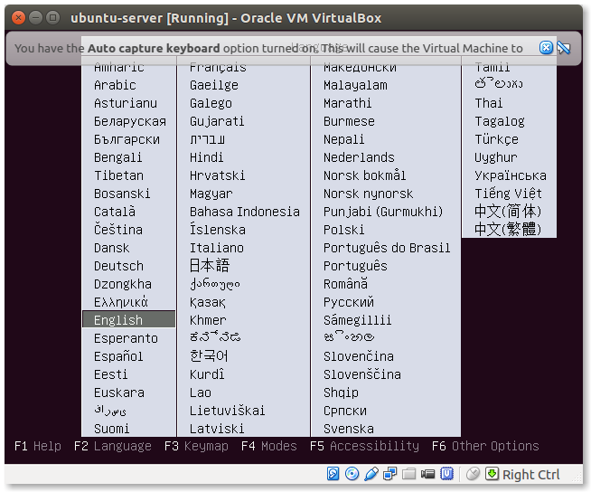 Ubuntu-Server-1