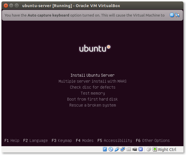 Ubuntu-Server-2
